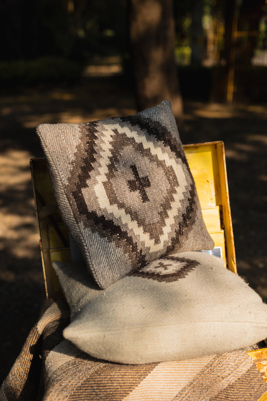 Large Chashm Cushion Cover