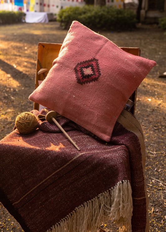 Small Chashm Cushion Cover