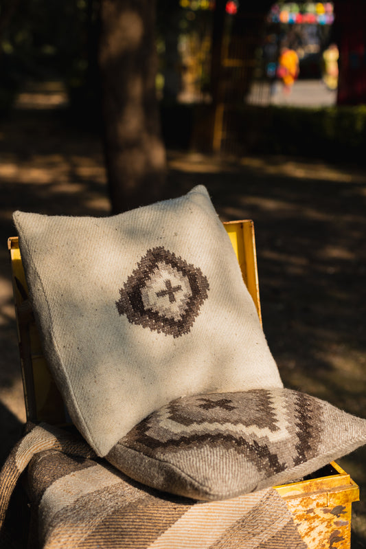 Small Chashm Cushion Cover