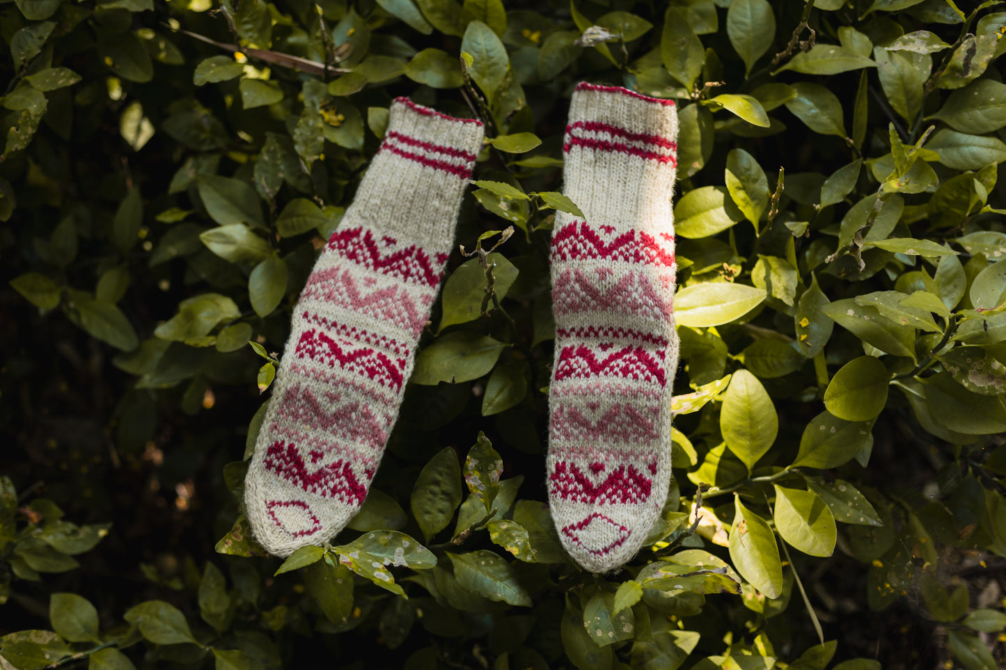 Lahauli Knit Home Socks