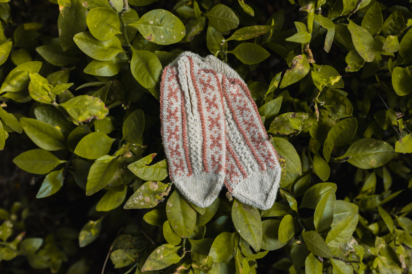 Motif Knit Mojiris