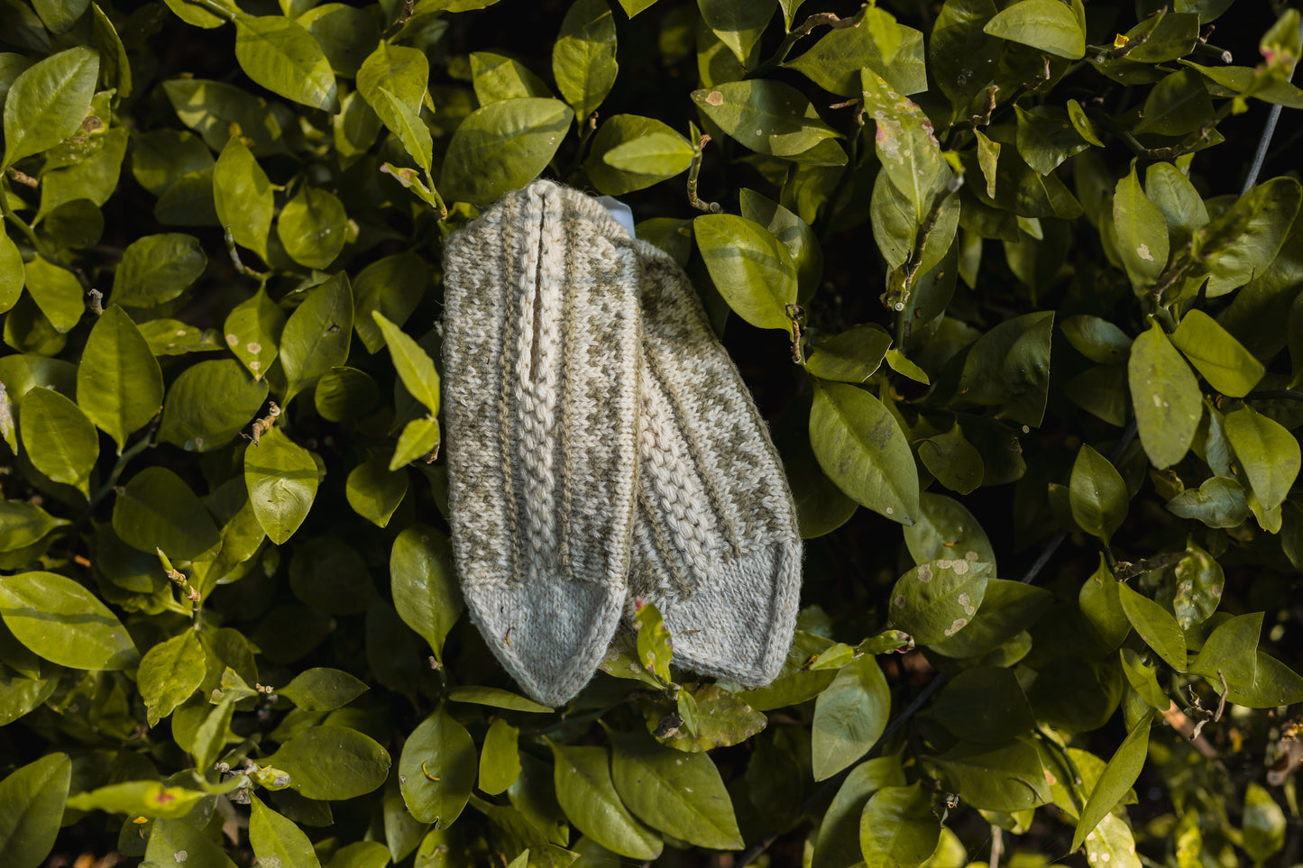 Motif Knit Mojiris