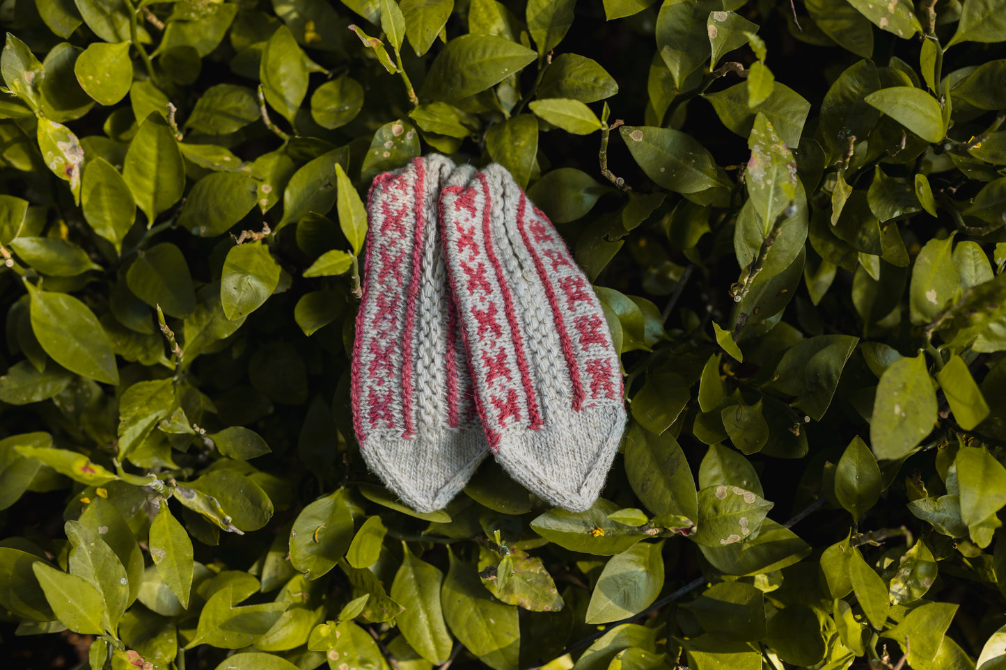 Motif Knit Mojiris