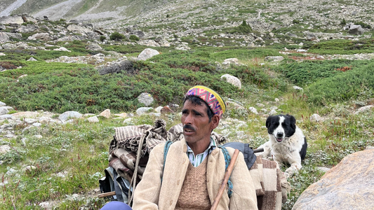 Wool Gathering: The Story Behind the Threads